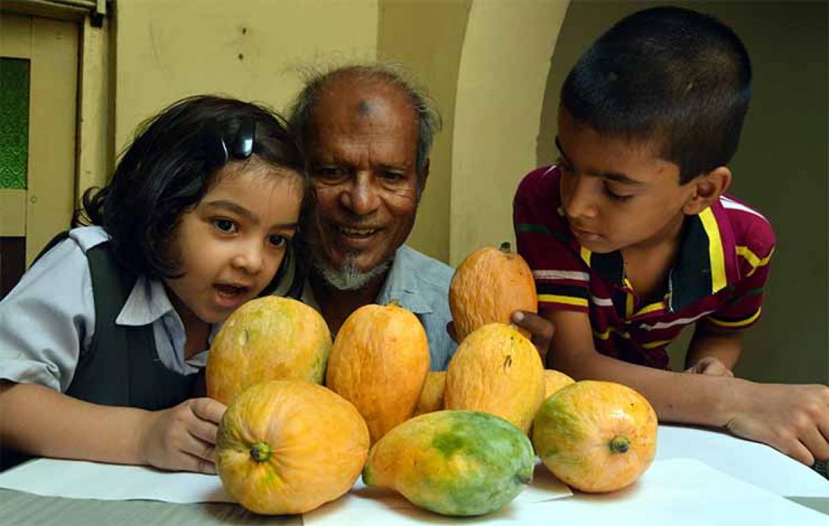 Royal mangoes from Nizam’s stable